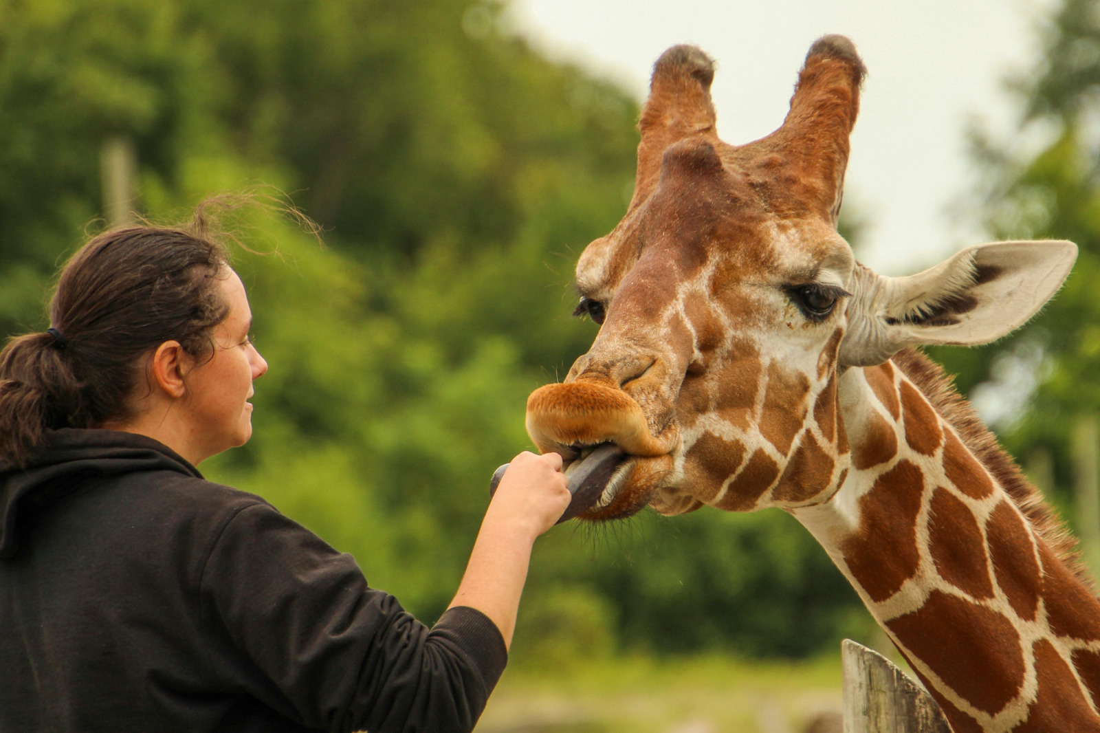 Eco-Tourism Adventure